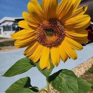 Meet your Posher, Pamela